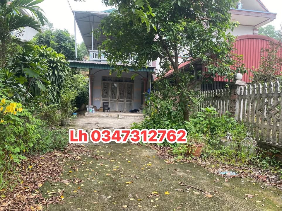 Bán đất tặng nhà khu phố 3, phường Phú Thọ, 206m² chỉ 1 tỷ - Đầu tư sinh lời ngay!
