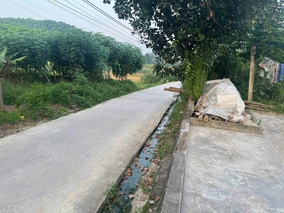 Nhà cấp 4 tại xóm 6 Trung Môn, Yên Sơn, Tuyên Quang 343m² - Cần thanh khoản gấp!