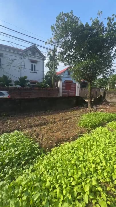 Đất nền thổ cư 245m² tại Thôn Đông Kỳ, Ba Vì - Giá thỏa thuận hấp dẫn!