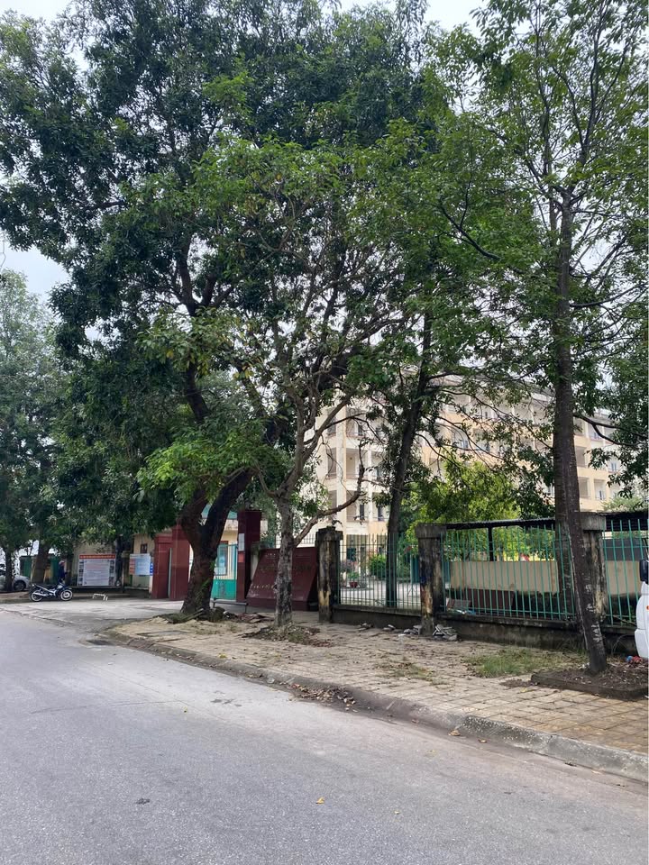 FrontHouse Quảng Thắng, TP Thanh Hóa 200m² giá 11.5 tỷ - Đầu tư sinh lời ổn định!