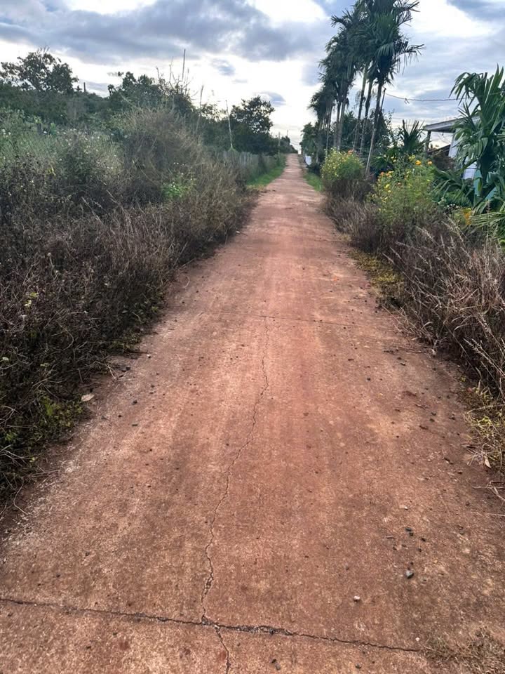 Đất nền 300m² tại Krông Năng - Cơ hội đầu tư sinh lời hấp dẫn!