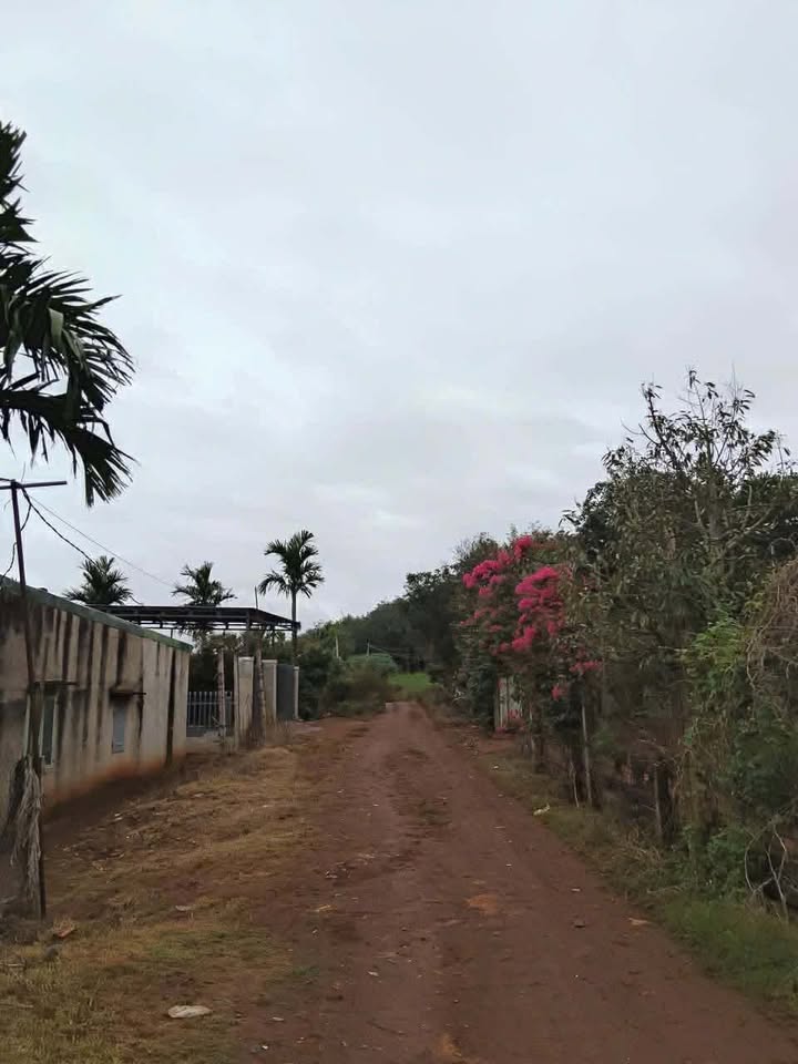 Đất nền Phú Lộc, Krông Năng 144m² giá 650 triệu - Đầu tư sinh lời ngay!