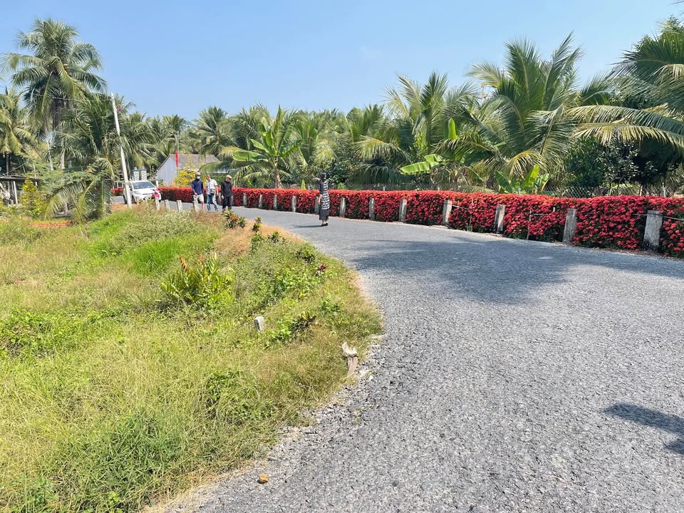 Đất nền mặt tiền đường nhựa tại Bình Ninh, Tam Bình - Giá chỉ từ 200 triệu!