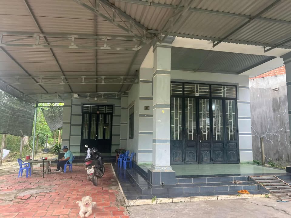 Nhà cấp 4 Tân Phú Tân Châu 780m² giá 1.05 tỷ - Mặt tiền đường nhựa rộng rãi!