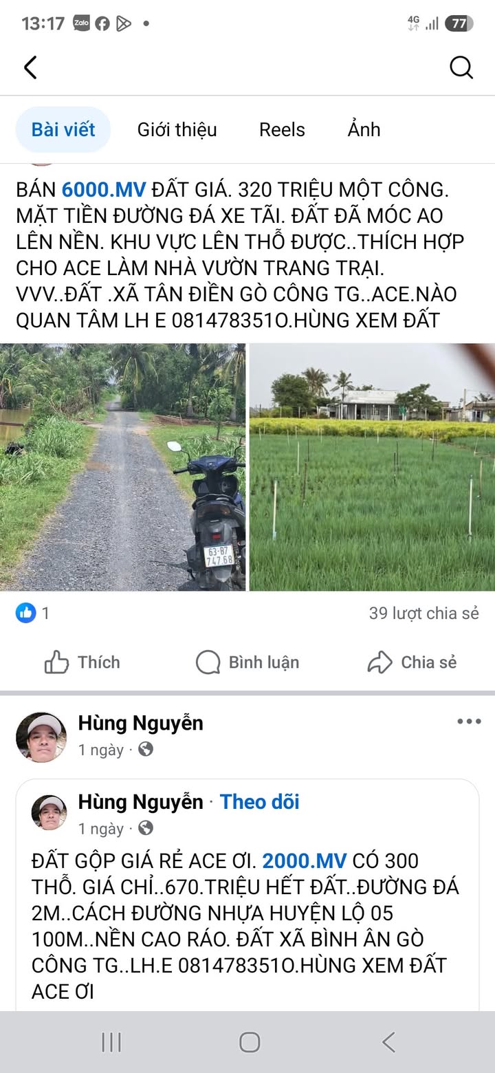 Đất nền 6000m² tại Tân Điền, Gò Công - Giá chỉ 2.304 tỷ, thích hợp nghỉ dưỡng!