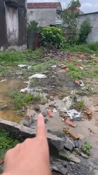 Đất nền chính chủ tại Hoa Đường, 252m² chỉ 2.52 tỷ - Giá tốt hiếm có!