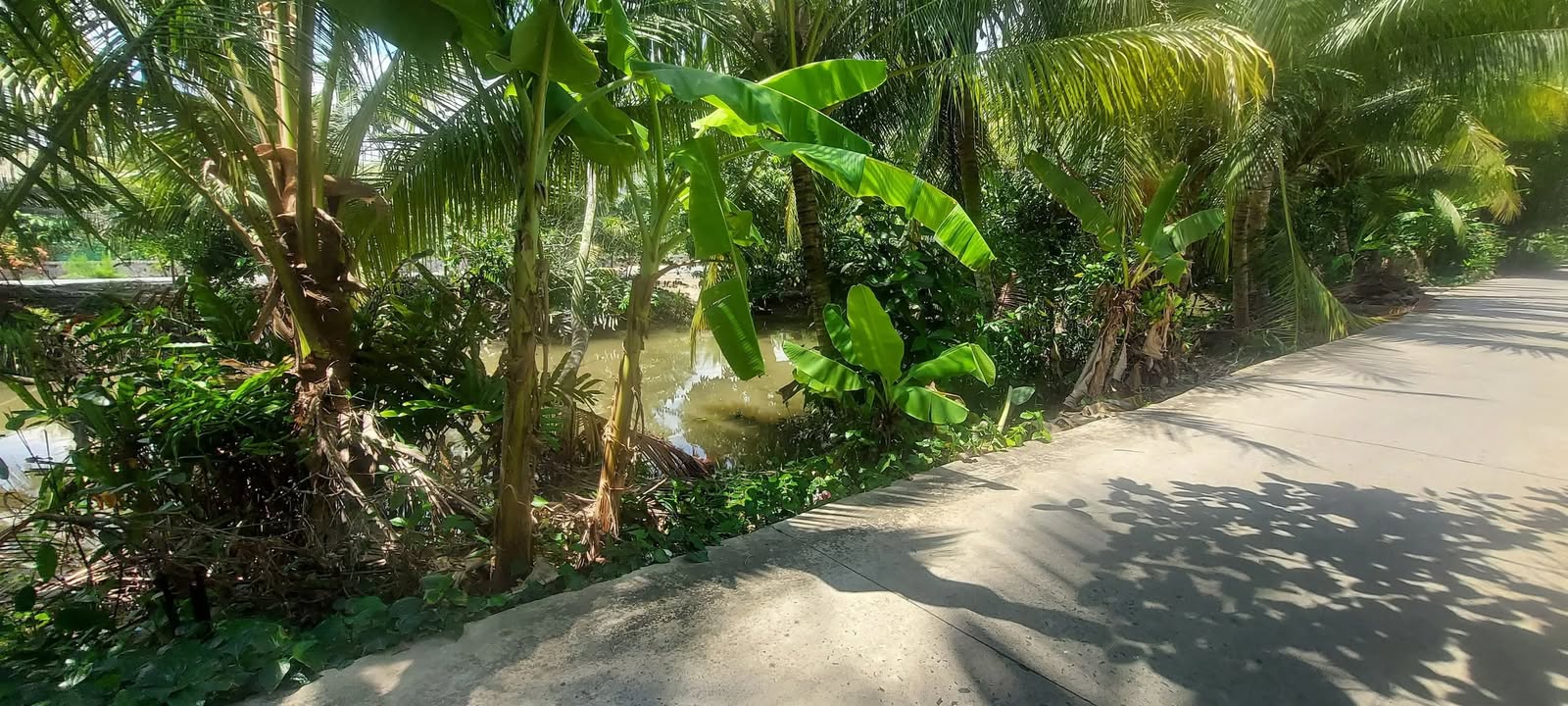 Đất mặt tiền ấp Long Thạnh A 660m² giá 1.05 tỷ - Chủ hạ giá bán gấp!