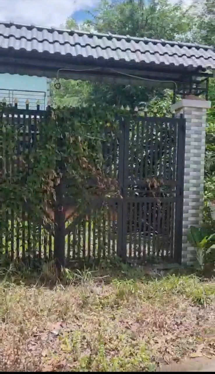 Bán đất thổ cư mặt tiền đường Trương Thị Kiện, xã Thái Mỹ, Củ Chi, 198m² - Đầu tư sinh lời ngay!