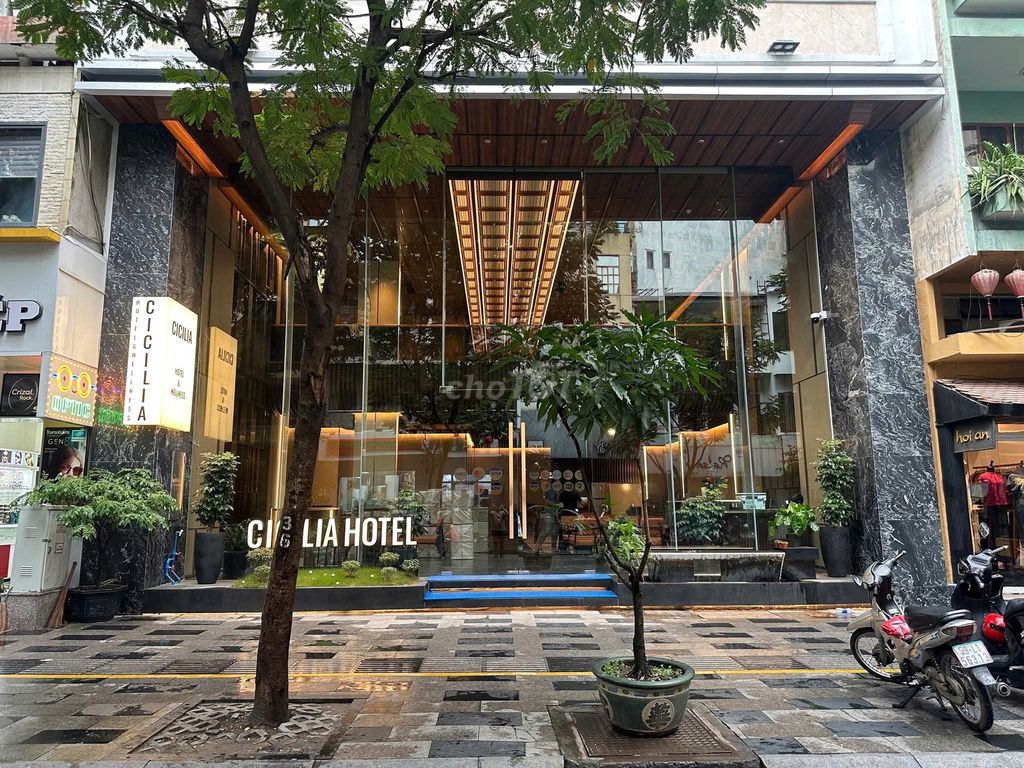 Mặt bằng cho thuê mặt tiền đường Trương Định Quận 1, 200m² - Phù hợp kinh doanh đa lĩnh vực!