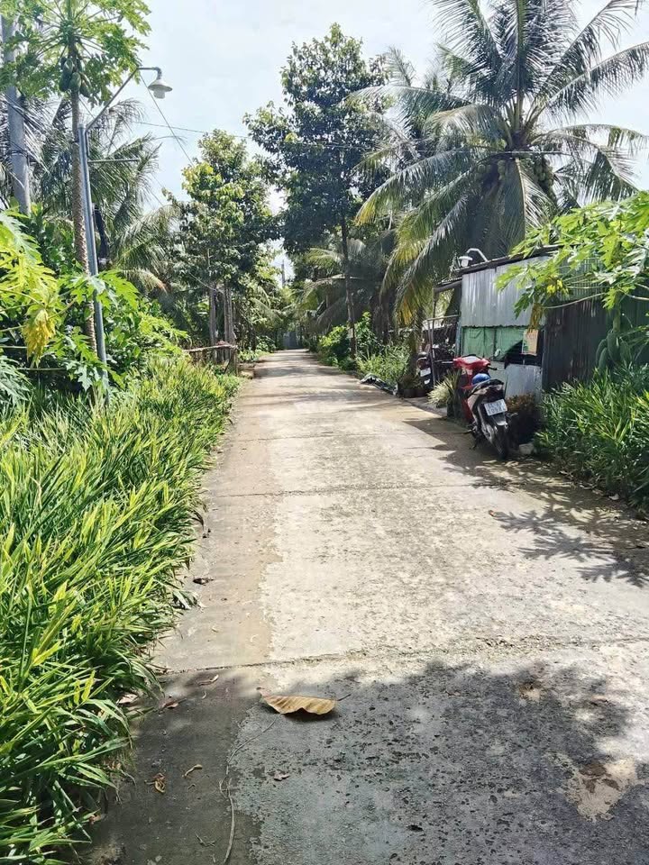 Đất nền Phường Đông Thành, Bình Minh 500m² giá 1.5 tỷ - Cơ hội đầu tư tuyệt vời!