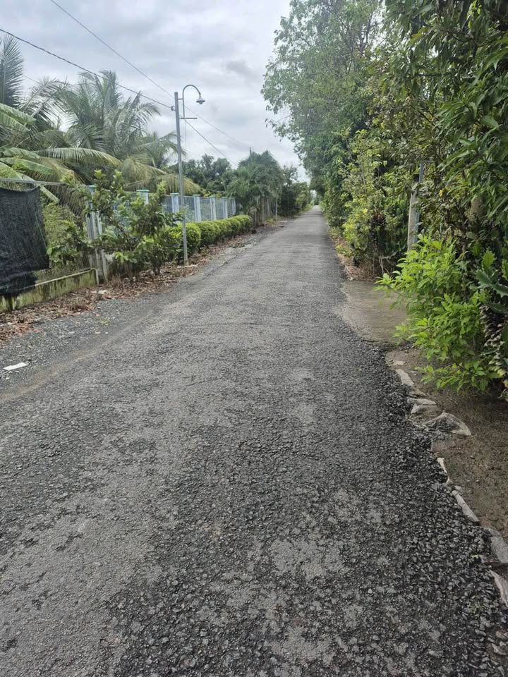 Đất mặt tiền đường huyện 36, xã Tân Long Hội 1700m² giá chỉ 2.3 tỷ - Cơ hội đầu tư tuyệt vời!