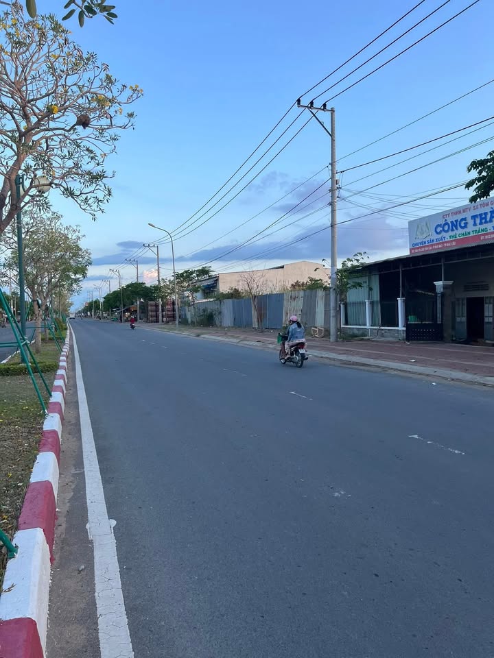 Nhà cấp 4 đường Cao Văn Lầu, phường Nhà Mát, TP Bạc Liêu - 184m² chỉ 4.5 tỷ, thương lượng chính chủ!