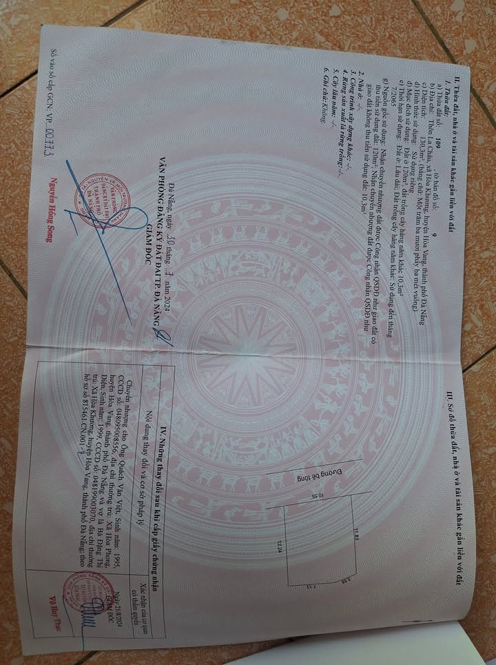 Đất nền 130m² đường Thăng Long Cẩm Lệ chỉ 890 triệu - Cơ hội đầu tư hấp dẫn!