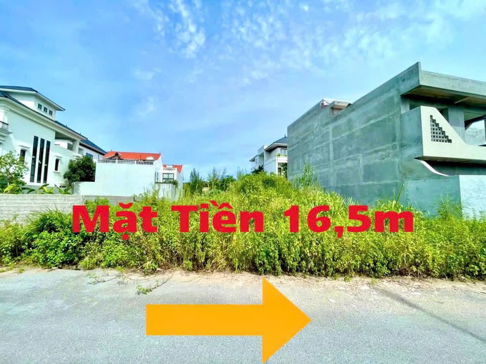 Đất nền phân lô Phường Lam Hạ 400m² giá 11.6 tỷ - Cơ hội vàng cho nhà đầu tư!