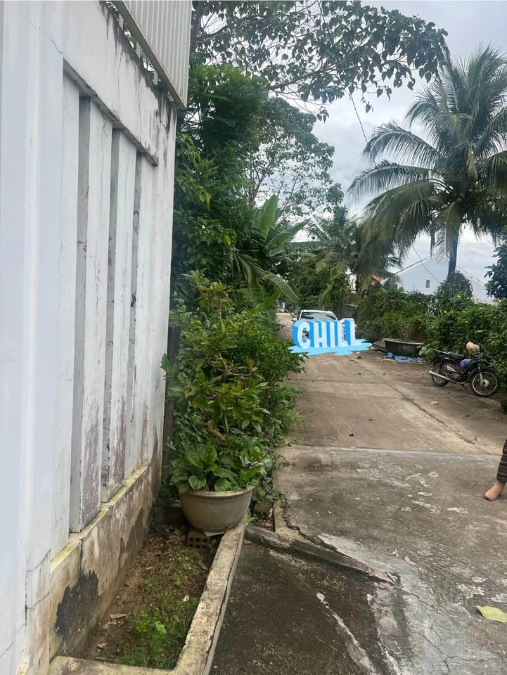 Đất thổ cư Phường Thắng Lợi, 500m² chỉ 1.4 tỷ - Đường rộng, vị trí trung tâm!