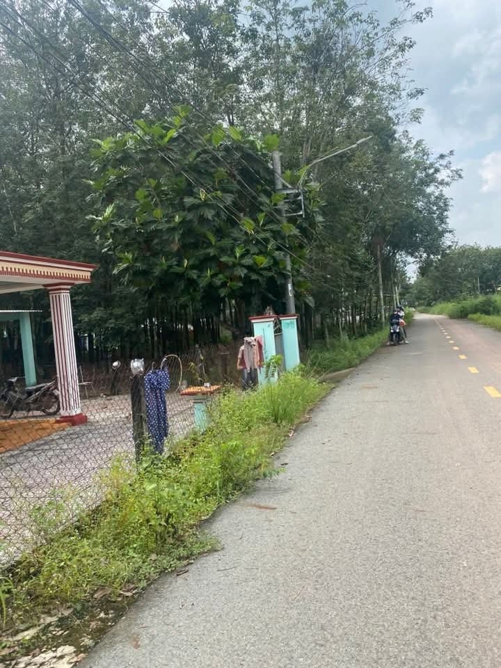 Đất nền Bến Cát 250m² giá 1 tỷ - Đầu tư sinh lời hấp dẫn!