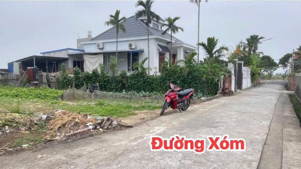 Đất nền Tân Dân An Lão 70m² giá 800 triệu - Vị trí đắc địa gần trung tâm