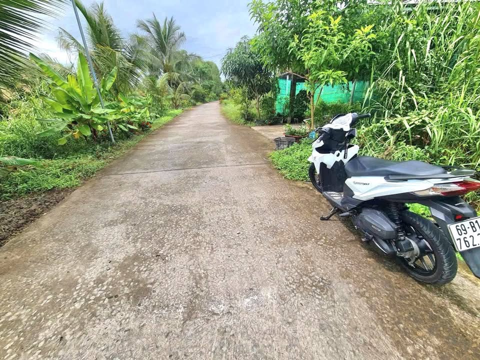 Đất Lập Vườn Lý Văn Lâm 800m² giá 1.2 tỷ - View Kênh Bà Điều tuyệt đẹp!