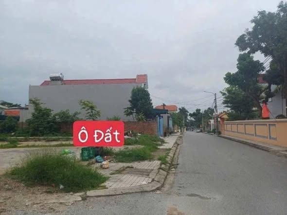 Đất mặt đường phường Việt Hưng 55.8m² giá 1.4 tỷ - Kinh doanh cực tốt!