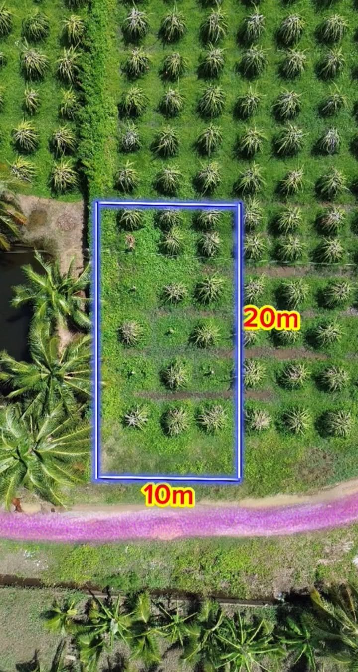 Đất thổ cư xã Hàm Mỹ 200m² giá 1.6 tỷ - Cơ hội đầu tư tuyệt vời!