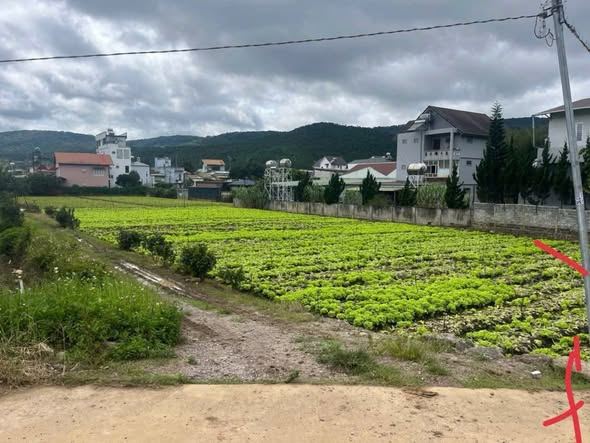 Đất nền Hiệp Thạnh, Đức Trọng 130m² giá 1.55 tỷ - Đầu tư sinh lời ngay!