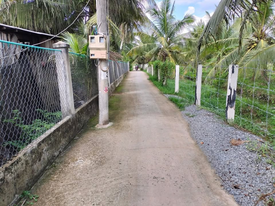 Đất nền xã Bình Thành, Giồng Trôm 2909m² giá 1.05 tỷ - Cơ hội đầu tư hấp dẫn!