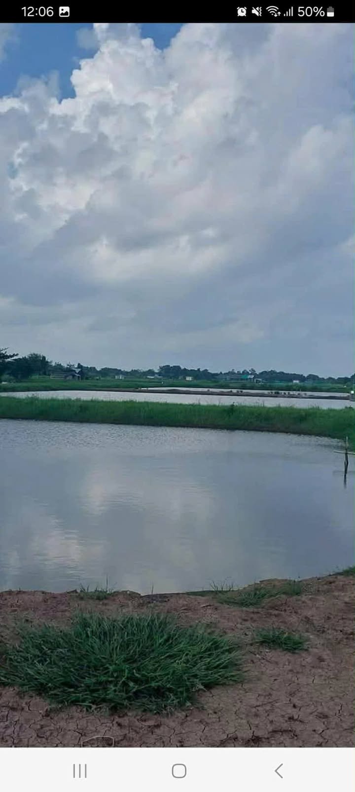 Farm 12.000m² tại Mỹ Xuyên, Sóc Trăng - Giá chỉ 840 triệu, mặt tiền kênh!