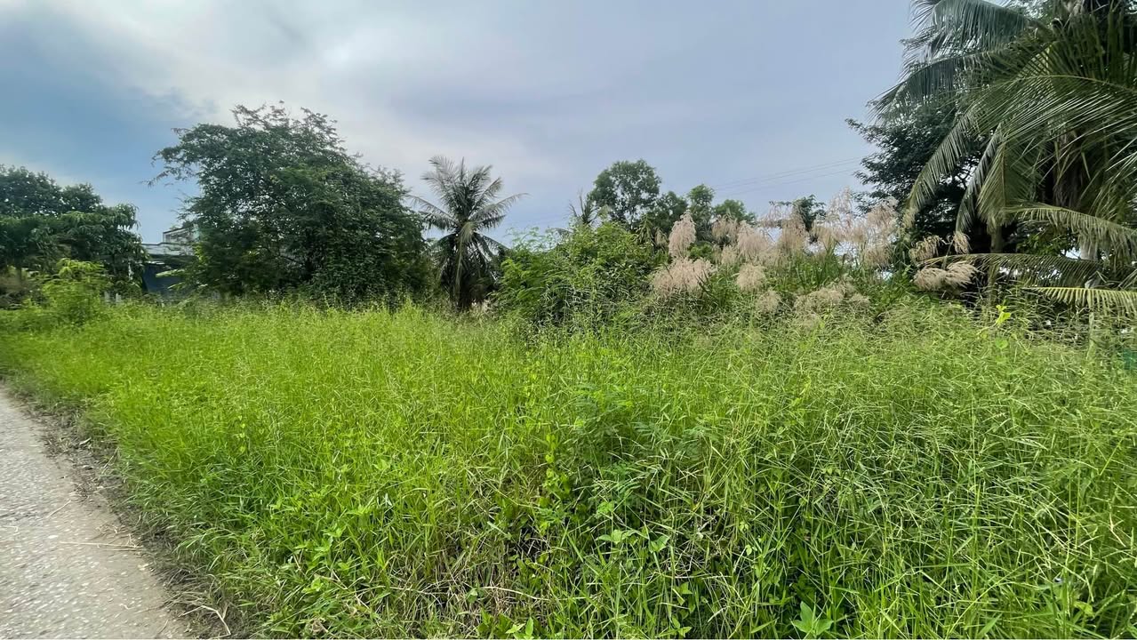 Đất nền mặt tiền Lộ Đal Hòa Tú 2, Mỹ Xuyên, Sóc Trăng 1100m² - Giá chỉ 350 triệu!