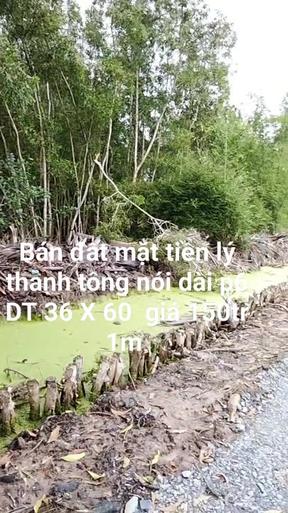 Đất mặt tiền đường Lý Thánh Tông, TP Sóc Trăng 1200m² - Đầu tư sinh lời hấp dẫn!