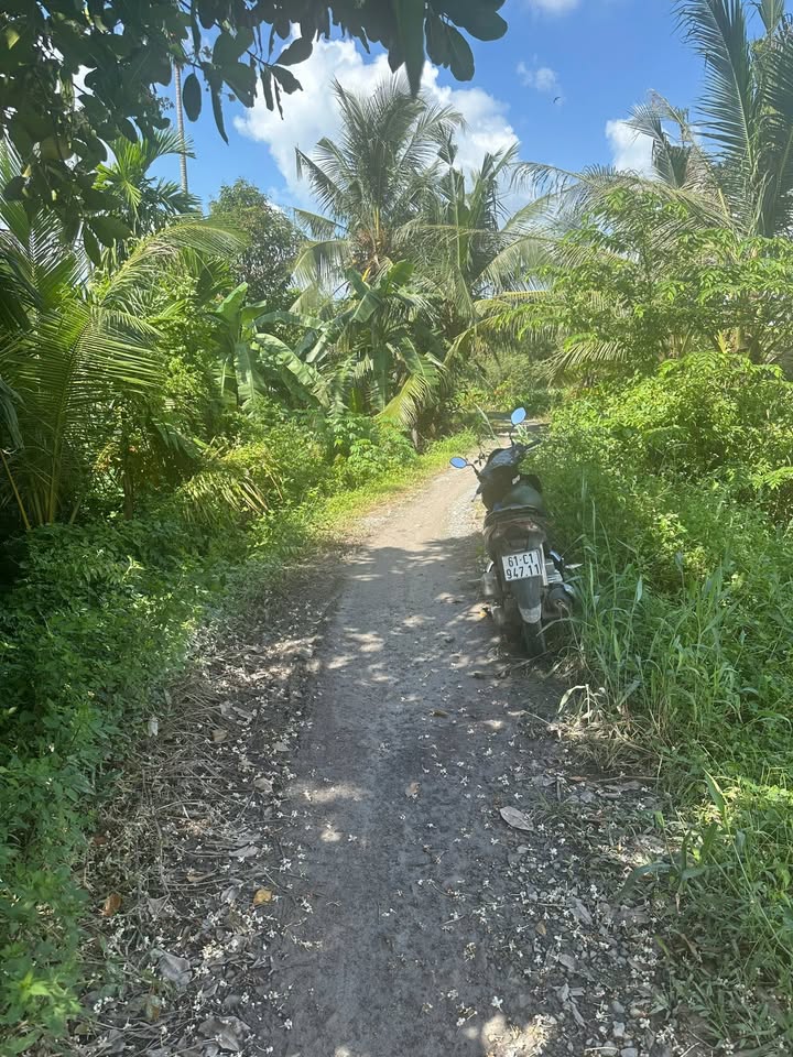 Đất nền An Thạnh Tân Uyên 808m² giá 7 tỷ - Mặt tiền rạch đẹp!