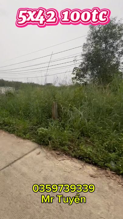 Đất nền Long Hoà, Tân Uyên 210m² giá 700 triệu - Đầu tư sinh lời ngay!