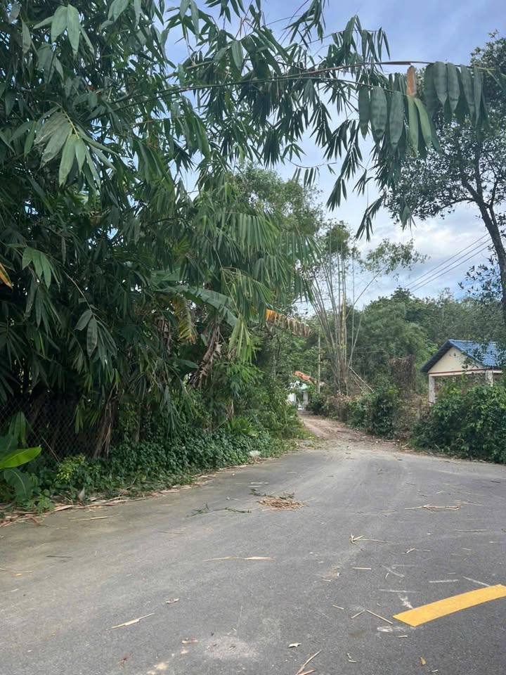 Đất nền Vĩnh Tân 403m² giá 1 tỷ - Đầu tư lý tưởng cho nhà vườn!