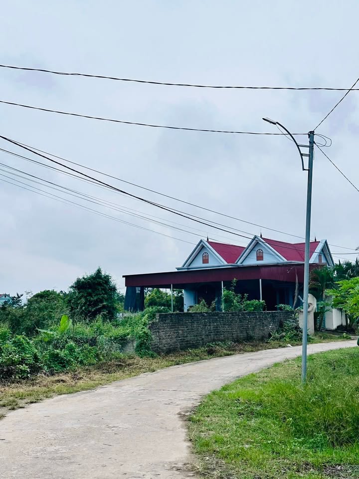 Đất thổ cư Trù Hựu, Lục Ngạn 326,3m² giá chỉ 1 tỷ - Sổ đỏ chính chủ!