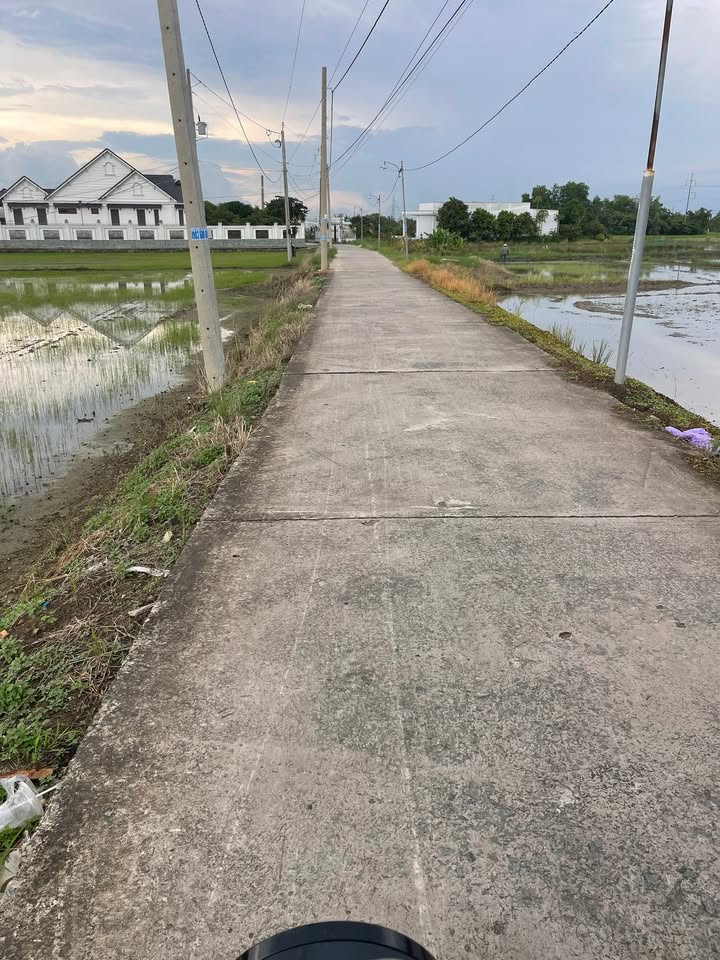 Đất thổ cư Cần Đước 1736m² giá 1.4 tỷ - Cơ hội đầu tư sinh lời!