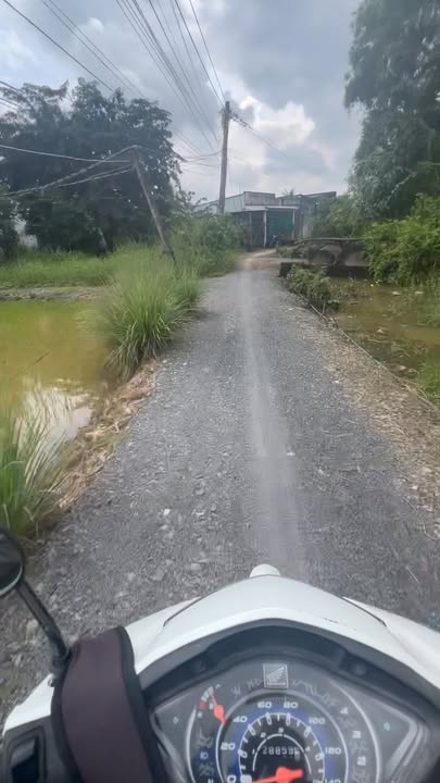 Đất thổ cư 300m² tại xã Phước Vĩnh Tây, Cần Giuộc chỉ 2.5 tỷ - Cơ hội đầu tư tuyệt vời!