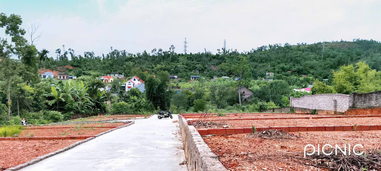 Bán đất thổ cư 1000m² tại xã Việt Khê, Hải Phòng - Giá chỉ 3.9 triệu/m²!