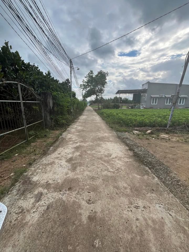 Đất nền Cẩm Mỹ 1092m² giá 35.1 tỷ - Pháp lý rõ ràng, lên thổ dễ dàng!