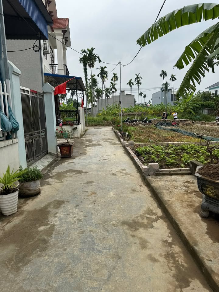 Đất nền Thủy Nguyên 50m² giá 1 tỷ - Vị trí vàng trung tâm hiếm có!