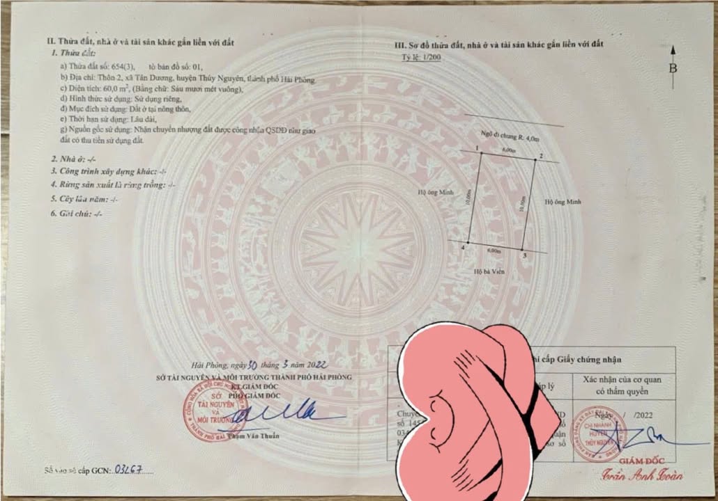 Đất thổ cư TDP Tân Dương 60m² giá thỏa thuận - Vị trí đẹp, ô tô vào tận nơi!