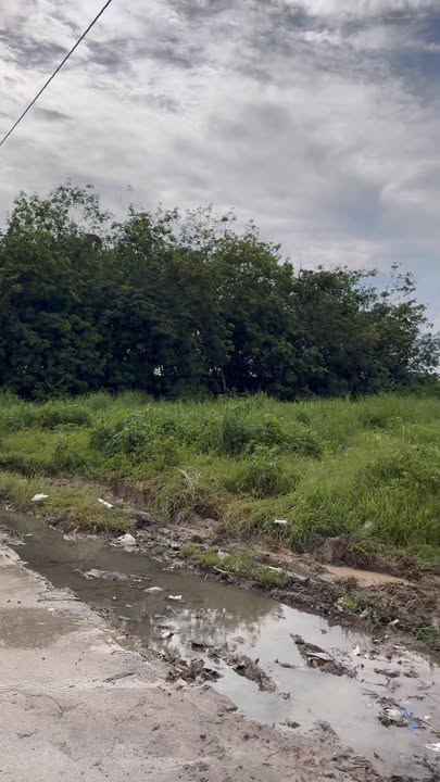 Bán đất SKC mặt tiền đường DT748 – An Điền, Bình Dương 42.000m² - Đầu tư sinh lời ngay!