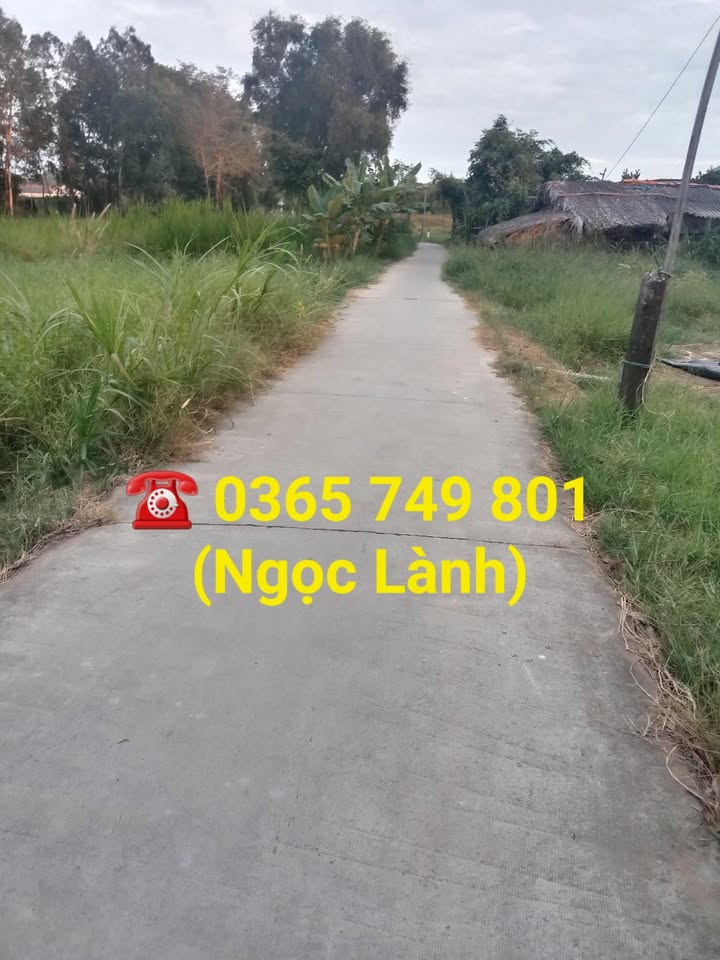 Đất nền Đại Hòa Lộc, Bình Đại 1080m² giá 378 triệu - Cơ hội đầu tư hấp dẫn!