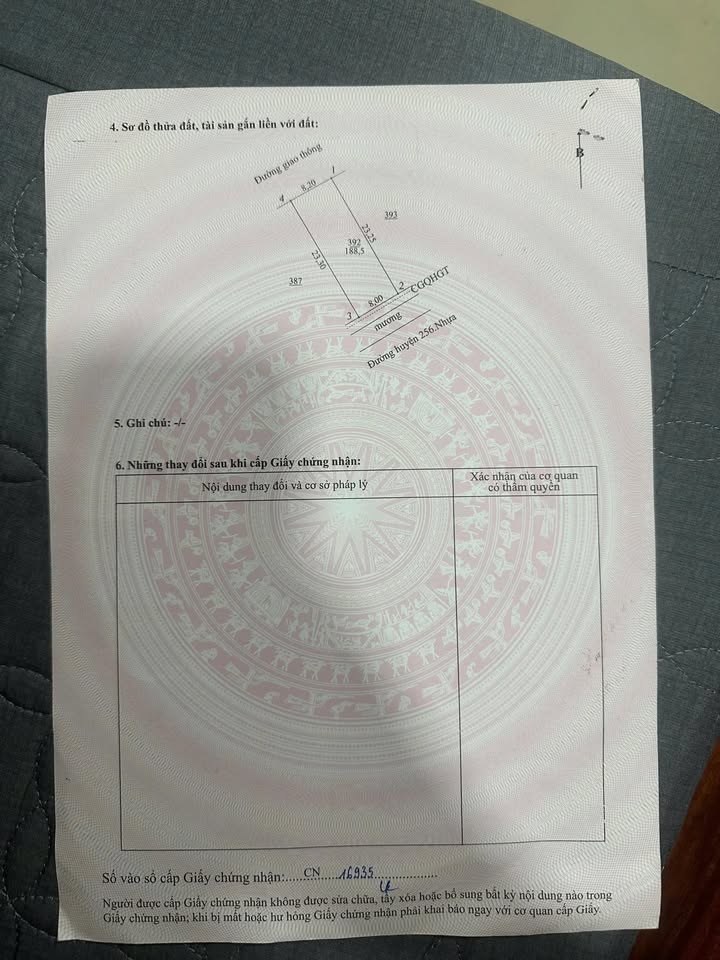 Đất 2 mặt tiền tại Xóm Xuân Sơn, Tân Châu, Diễn Châu - Diện tích 188.5m², giá chỉ 3 tỷ!