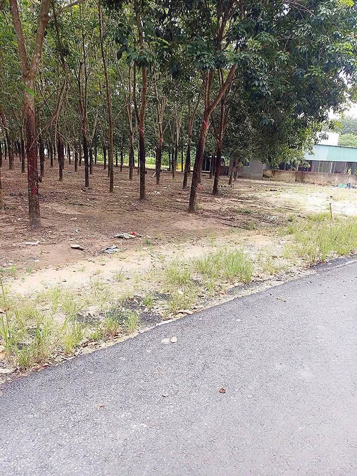 Lô đất 3400m² tại Bắc Tân Uyên - Giá chỉ 6.5 tỷ - Cơ hội đầu tư lý tưởng!