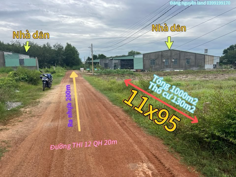 Bán đất thổ cư Tân Bình Tây Ninh 130m² giá 550 triệu - Đầu tư sinh lời ngay!