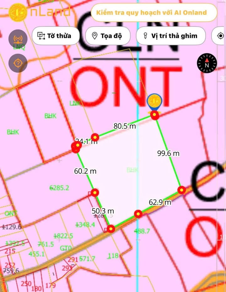 Đất Cẩm Giang Gò Dầu 12000m² - Mặt tiền đường thông, giá rẻ không thể bỏ qua!