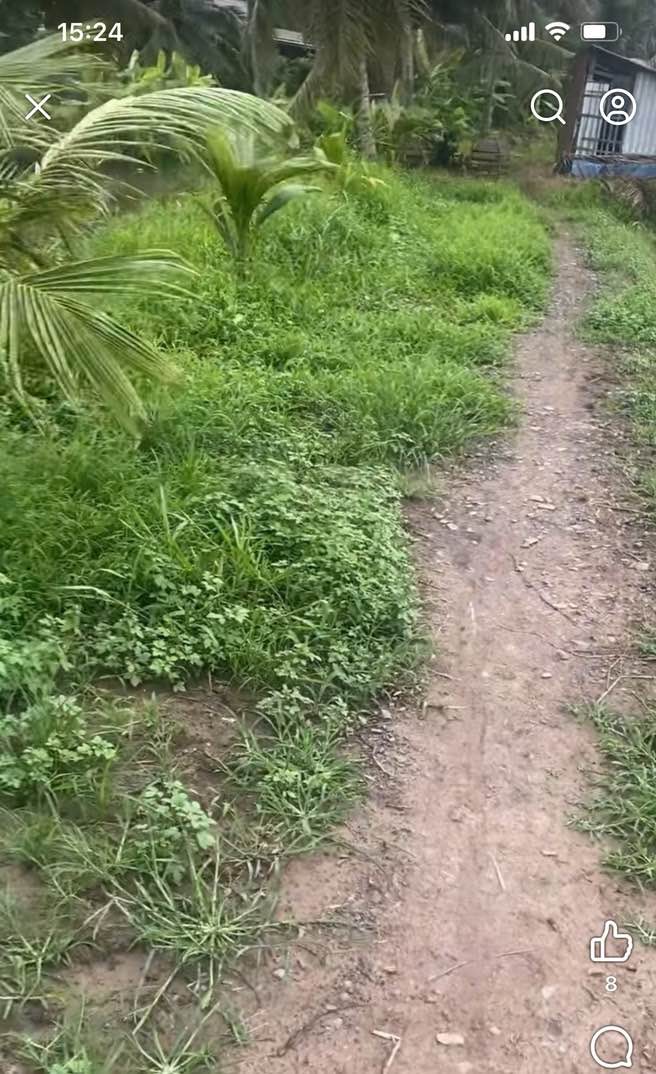 Đất nền 7200m² tại xã Hòa Bình, Vĩnh Long - Giá chỉ 1.152 tỷ!