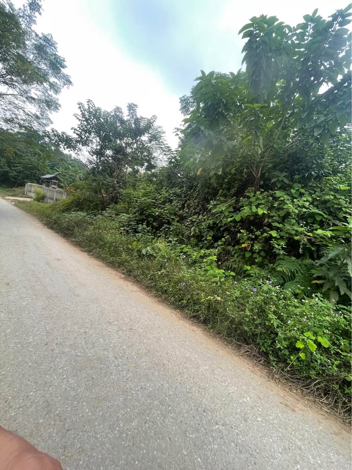 Đất nền Phong Châu, Phú Thọ 661m² giá 1 tỷ - Pháp lý rõ ràng, sẵn sàng công chứng!