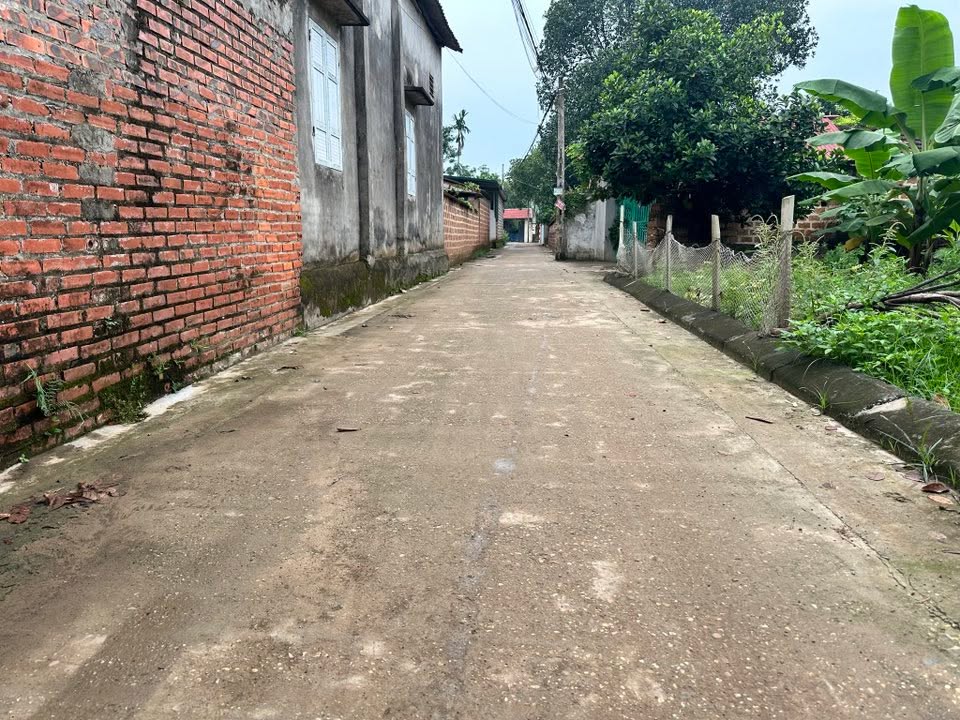 Đất nền Yên Mỹ Thạch Thất 60m² giá 1.6 tỷ - Cơ hội đầu tư tốt!