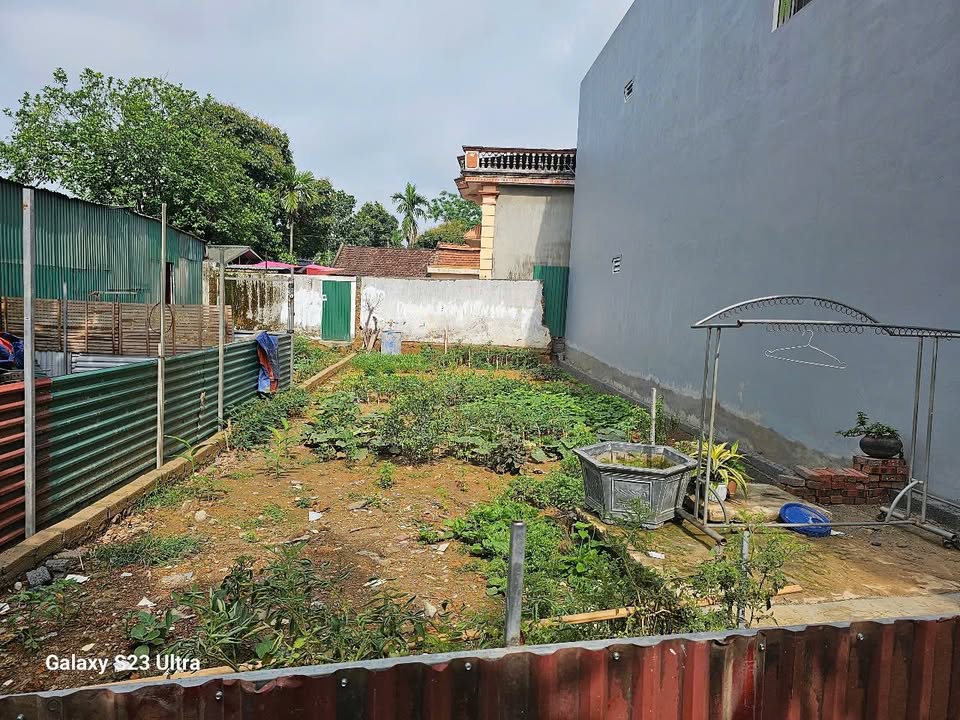 Đất thổ cư 111m² tại Yên Mỹ, Thạch Thất - Giá mềm, cơ hội đầu tư tuyệt vời!