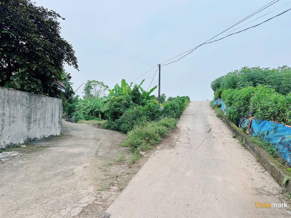 Đất nền Sông Lô, phường Thanh Miếu, 463.8m² giá 7 tỷ - Cơ hội đầu tư tuyệt vời!